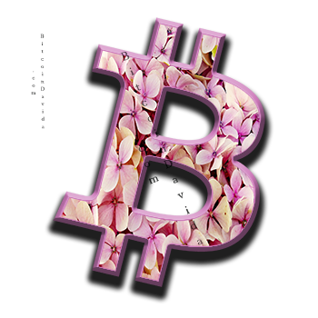 BTC4 image