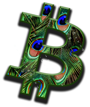 BTC7 image