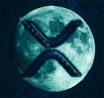 XRP37 Image