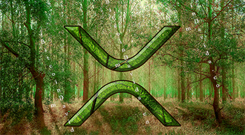 XRP9 Full Image Green Nature Scene
